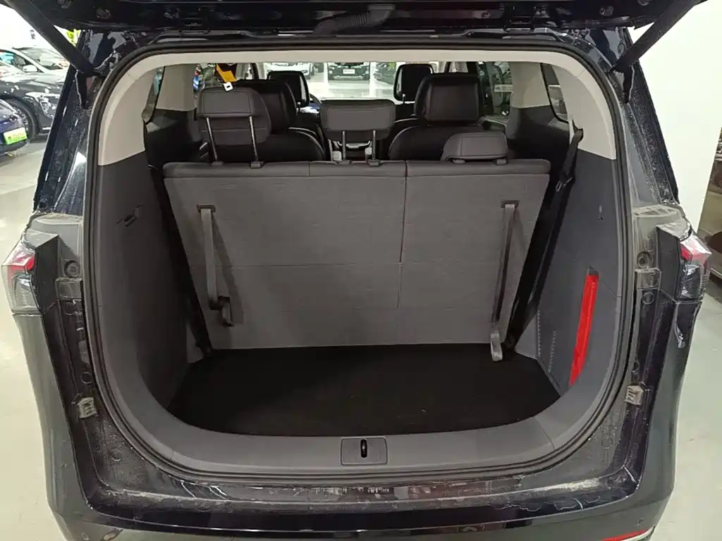 Buick GL8 Hybrid — фото 19