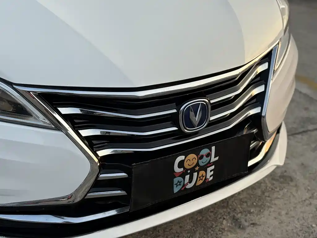 Changan Eado DT — фото 8