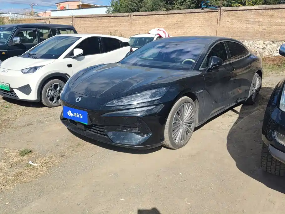 Denza Denza Z9