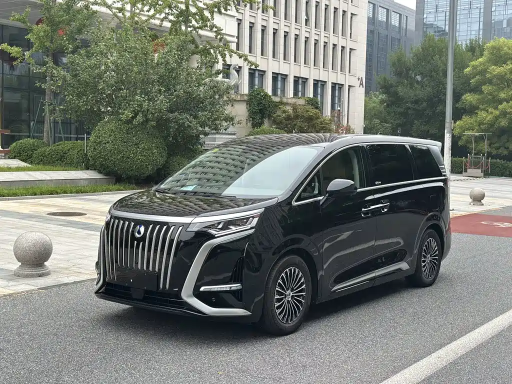 Denza Denza D9