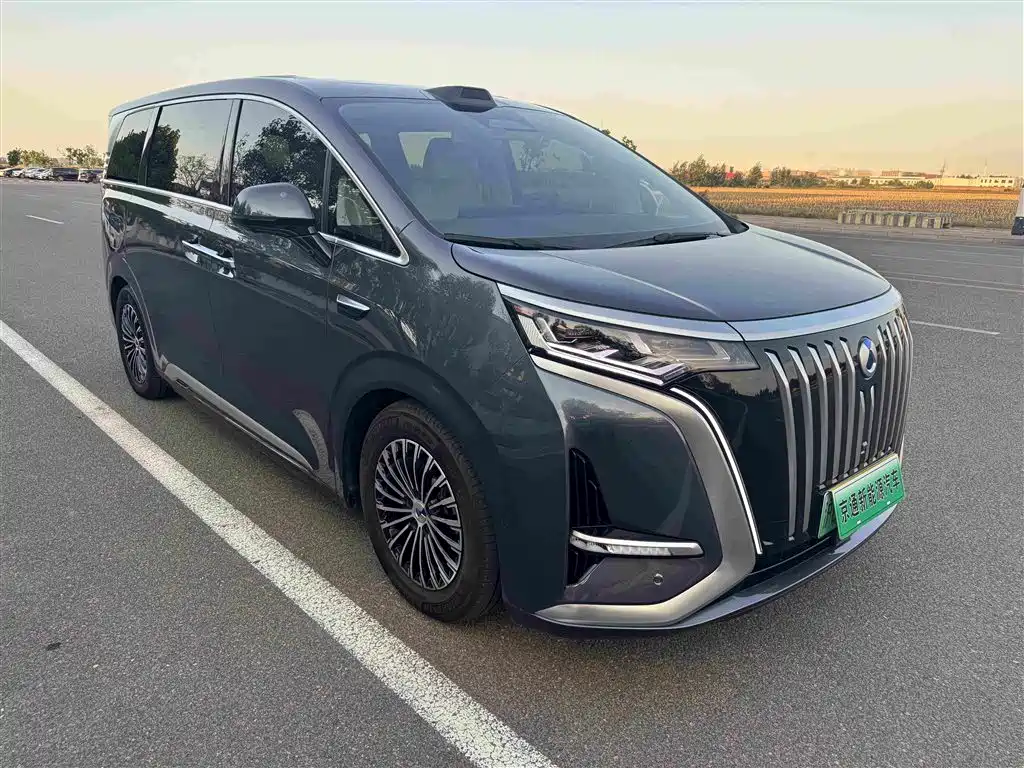 Denza Denza D9
