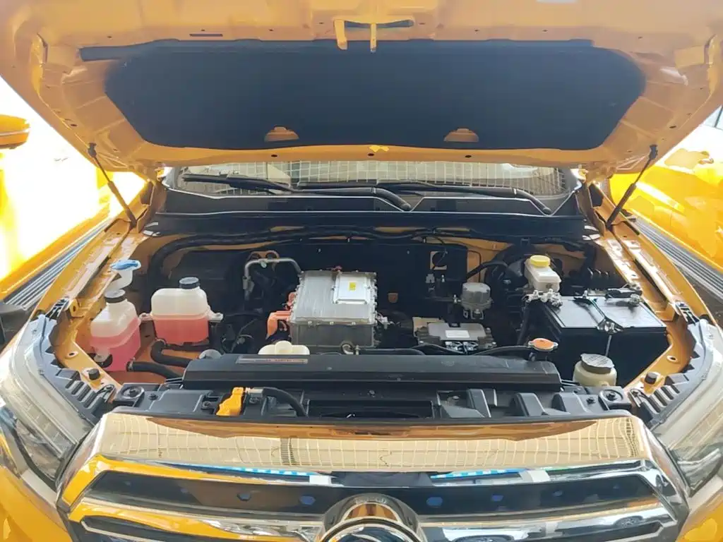 Dongfeng Rich 6 New Energy — фото 20