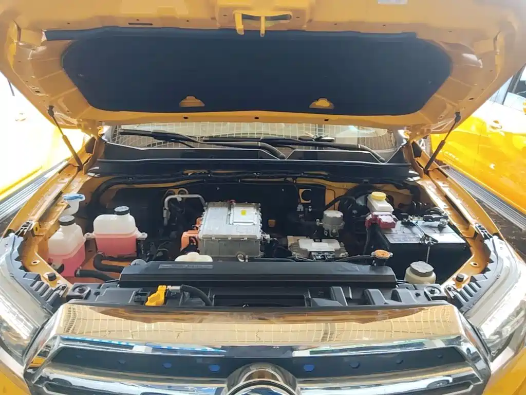 Dongfeng Rich 6 New Energy — фото 20