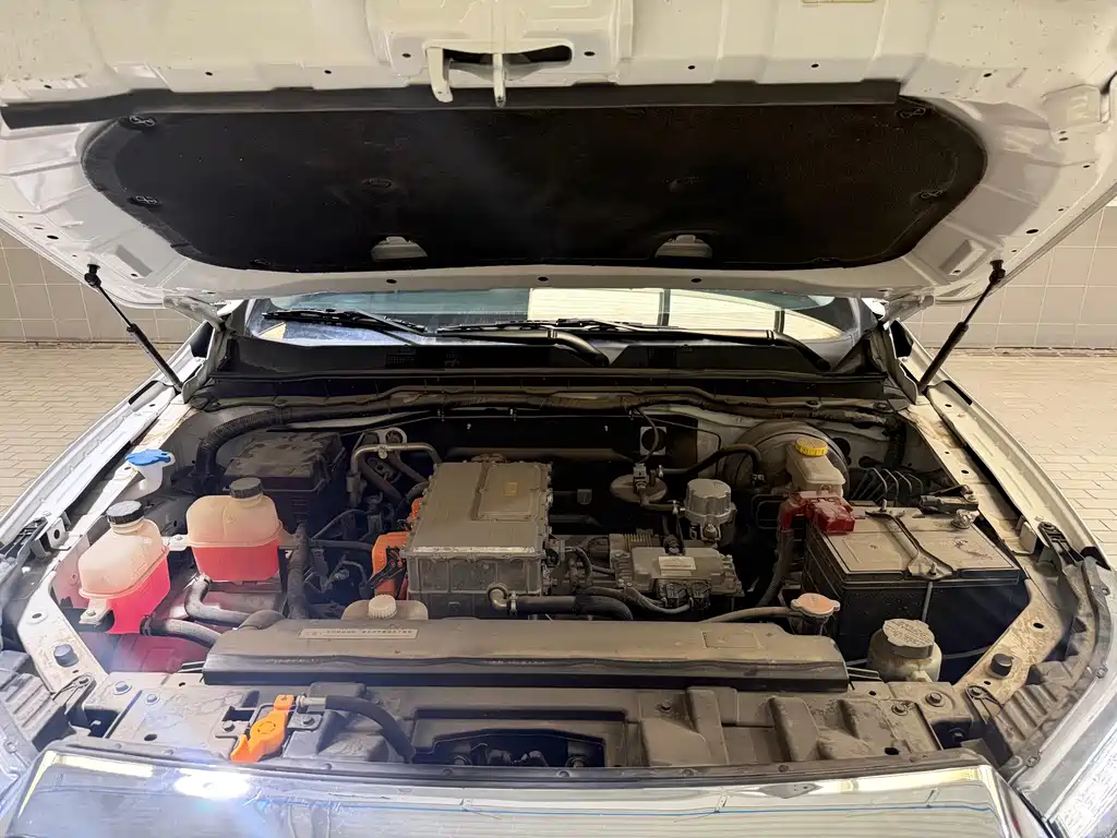 Dongfeng Rich 6 New Energy — фото 10