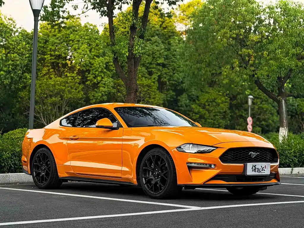 Ford Mustang — фото 3