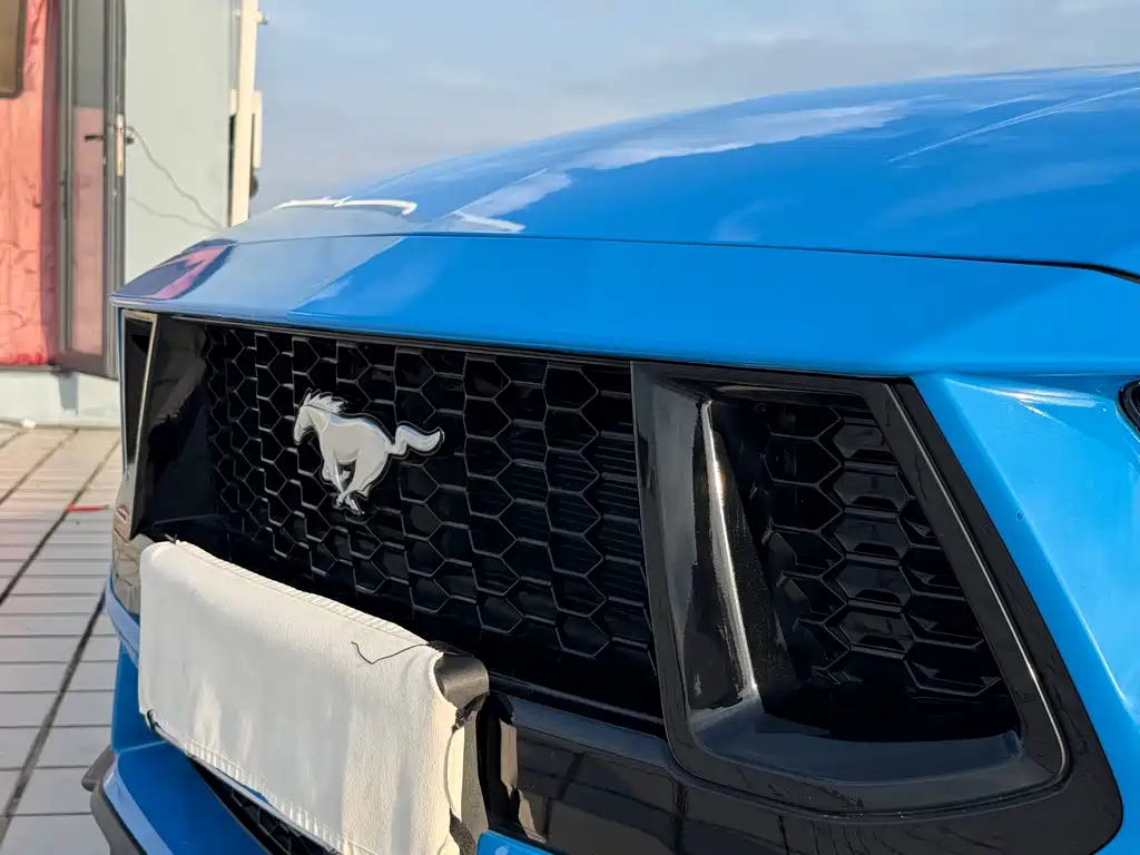 Ford Mustang — фото 14
