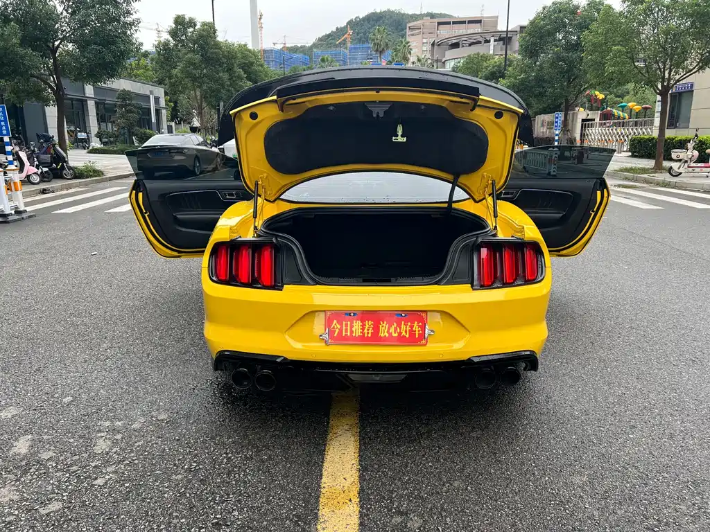 Ford Mustang — фото 10