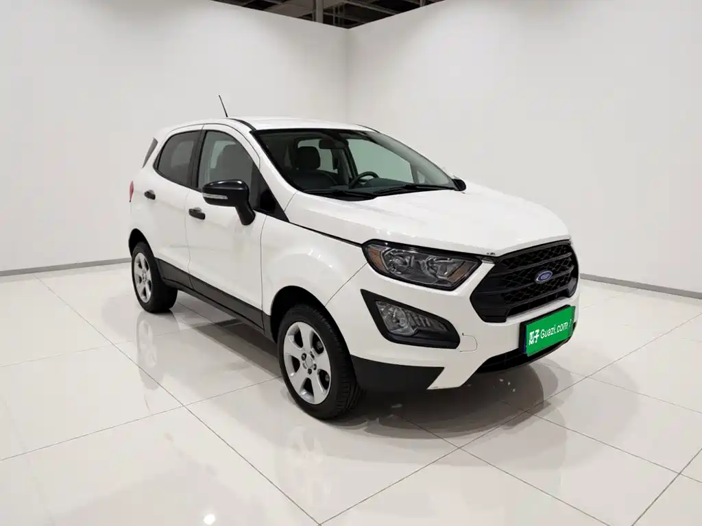 Ford Ecosport — фото 24