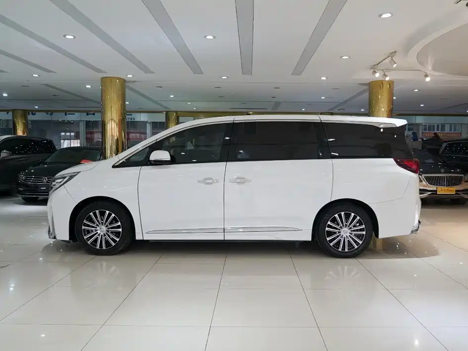 GAC Motor Trumpchi M8 — фото 19