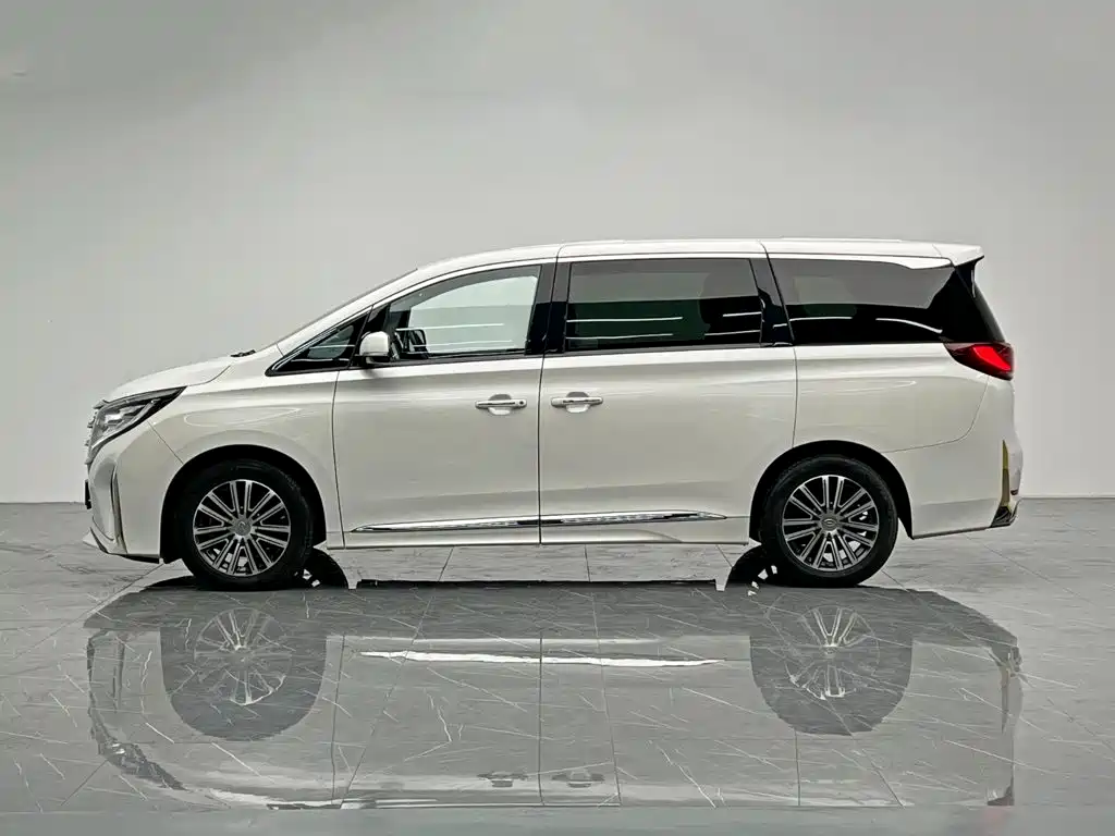 GAC Motor Trumpchi M8 — фото 3
