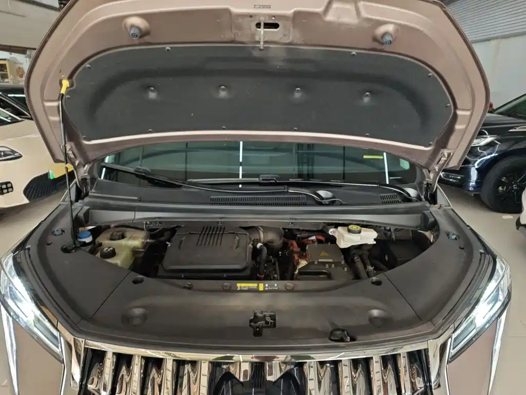 GAC Motor Trumpchi E9 — фото 20