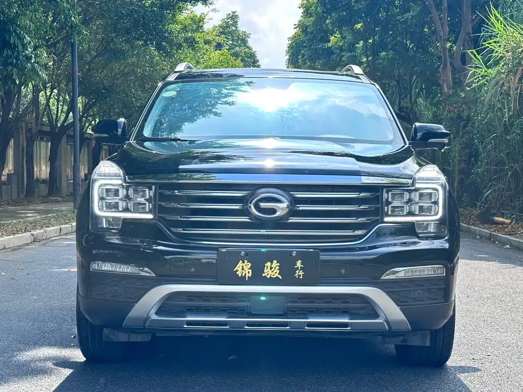 GAC Motor Trumpchi GS8 — фото 2