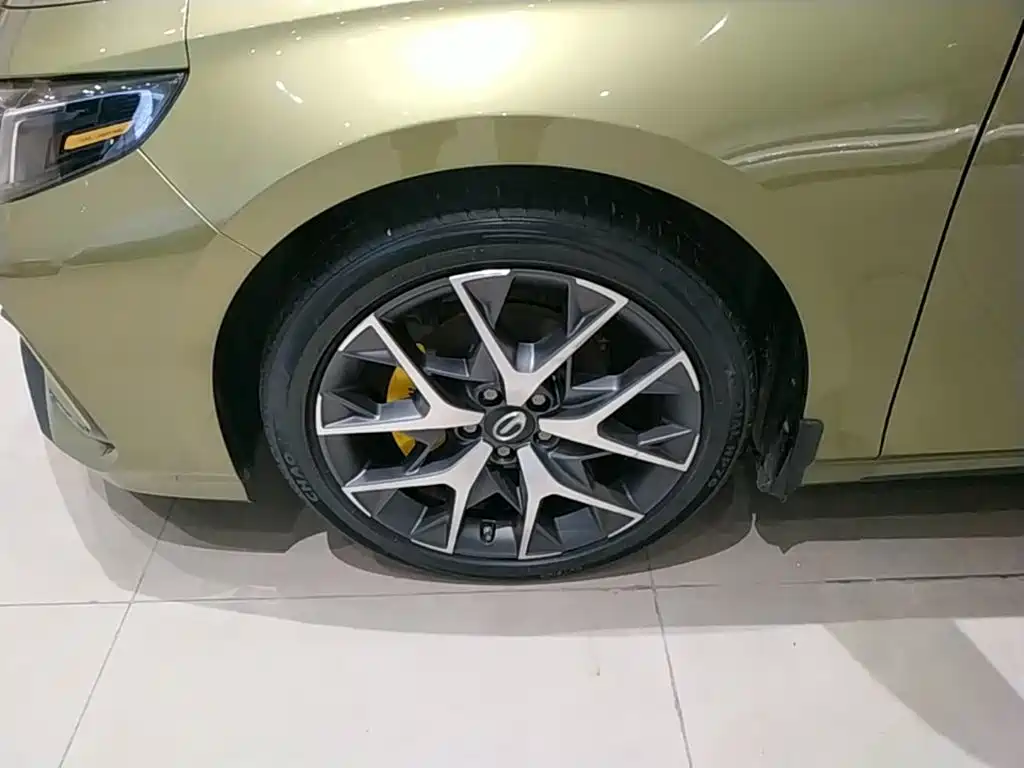 GAC Motor Shadow Leopard — фото 23