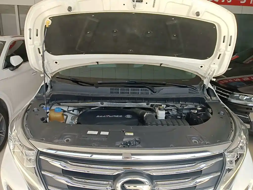 GAC Motor Trumpchi M8 — фото 20