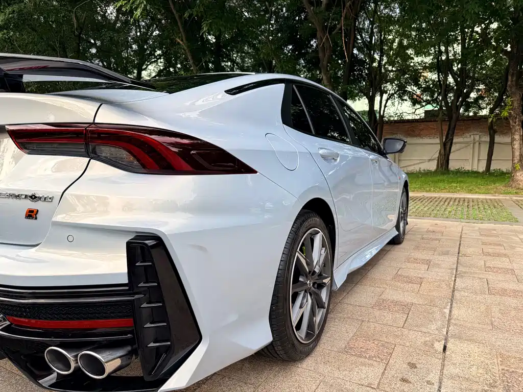 GAC Motor Shadow Leopard — фото 23