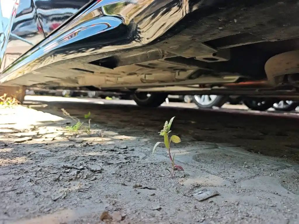 GAC Motor Shadow Leopard — фото 22