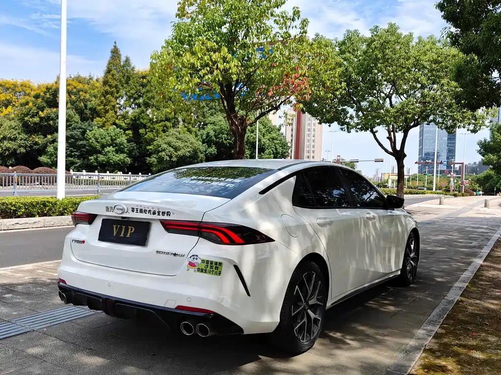 GAC Motor Shadow Leopard — фото 13
