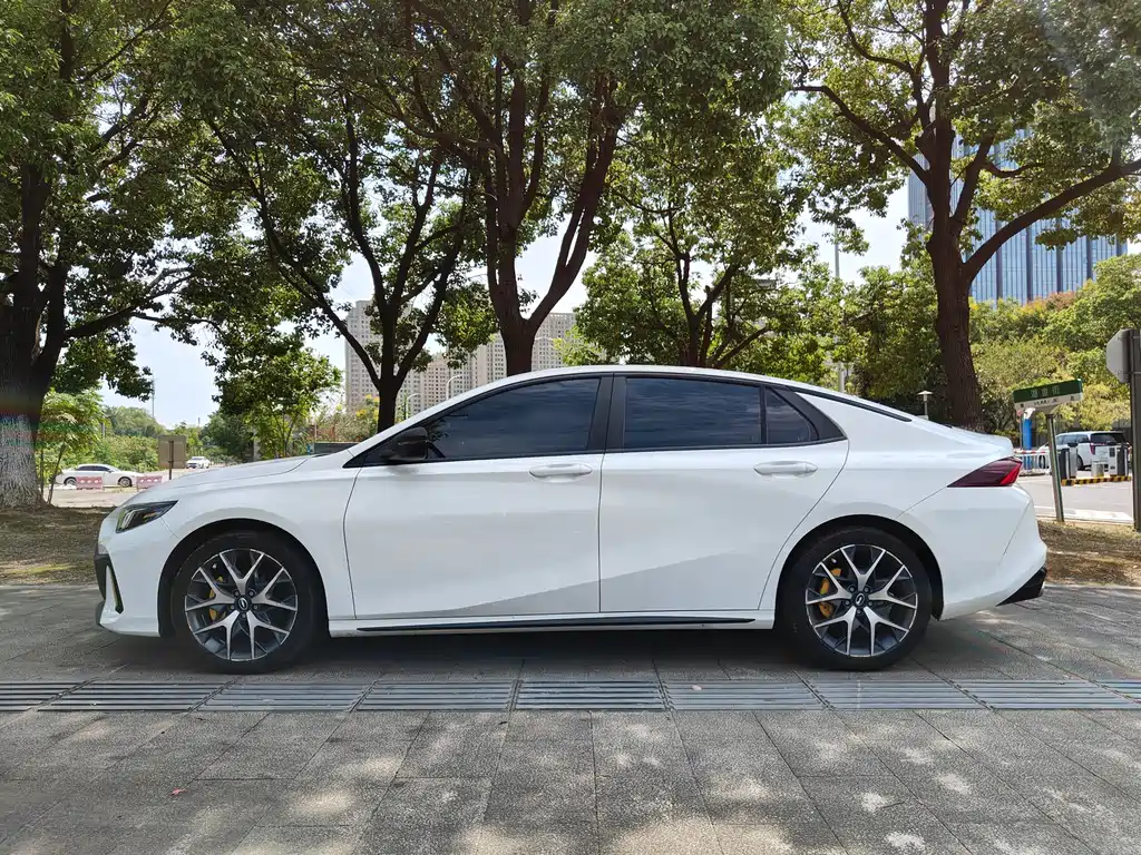 GAC Motor Shadow Leopard — фото 15