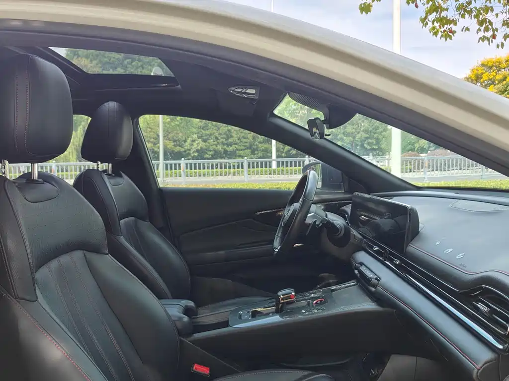 GAC Motor Shadow Leopard — фото 7