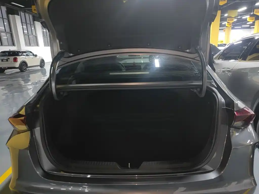 GAC Motor Shadow Leopard — фото 19