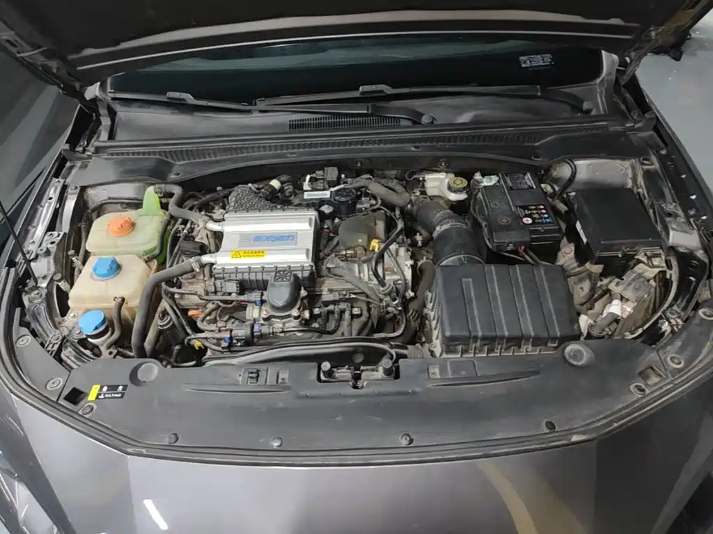 GAC Motor Shadow Leopard — фото 20