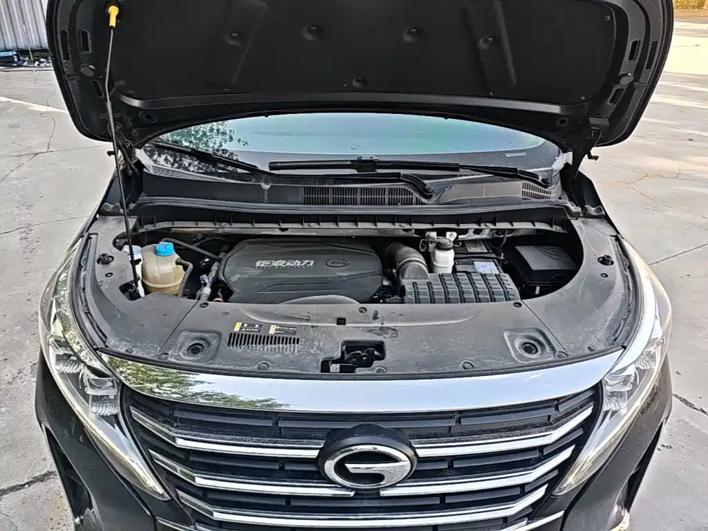 GAC Motor Trumpchi M8 — фото 20