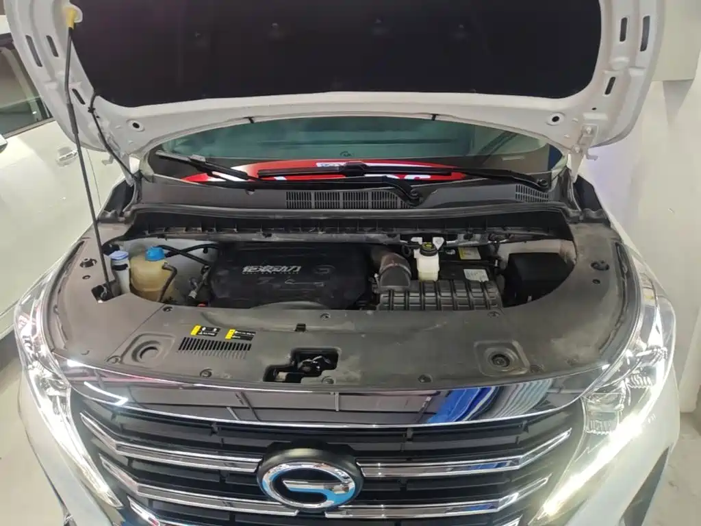 GAC Motor Trumpchi M8 — фото 20