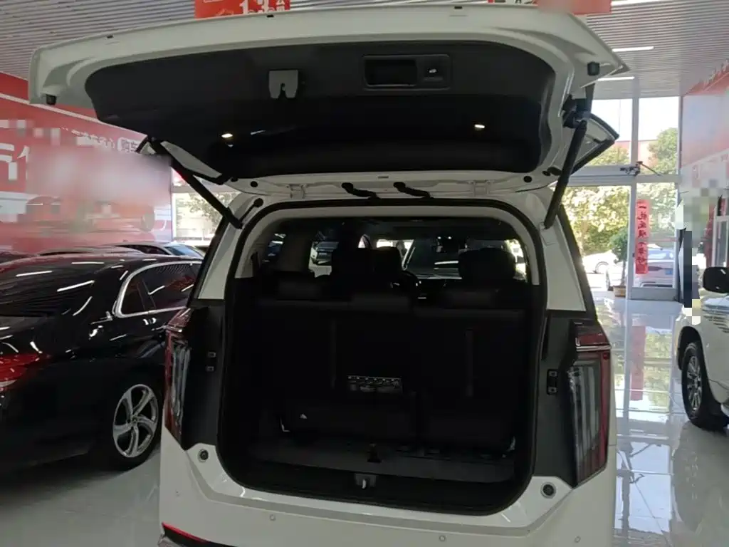 GAC Motor Trumpchi M8 — фото 19