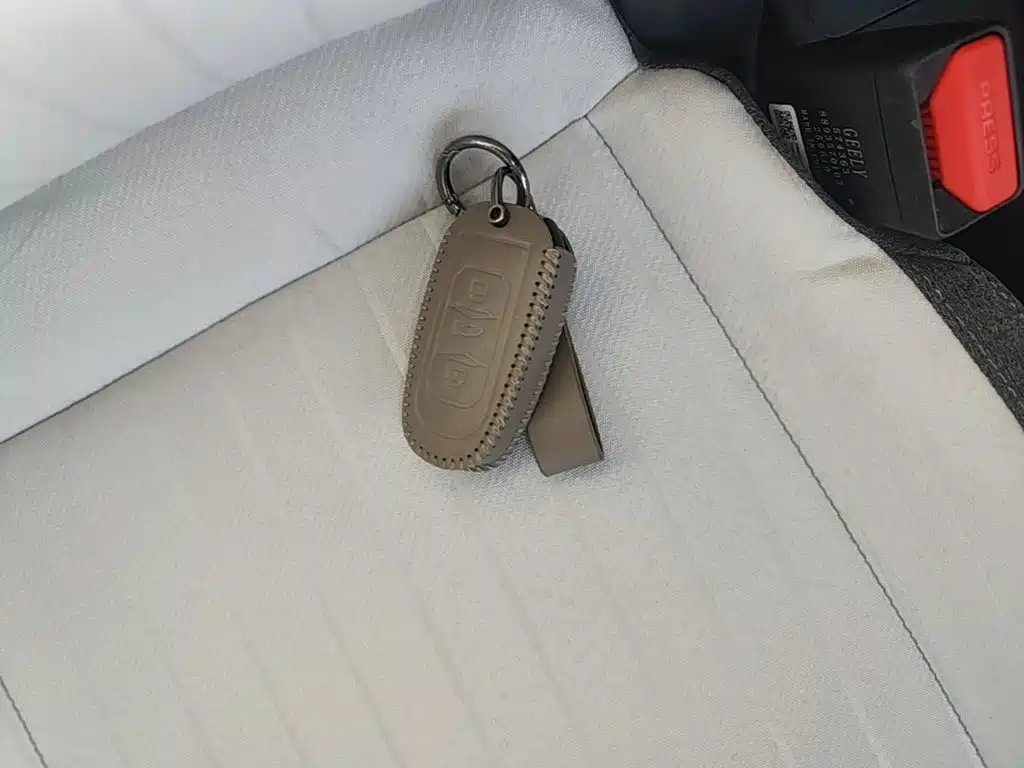 Galaxy Panda — фото 9