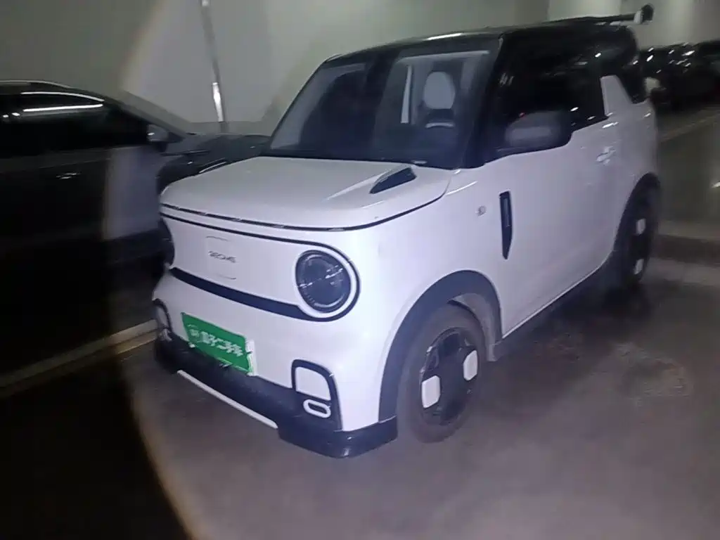 Galaxy Panda
