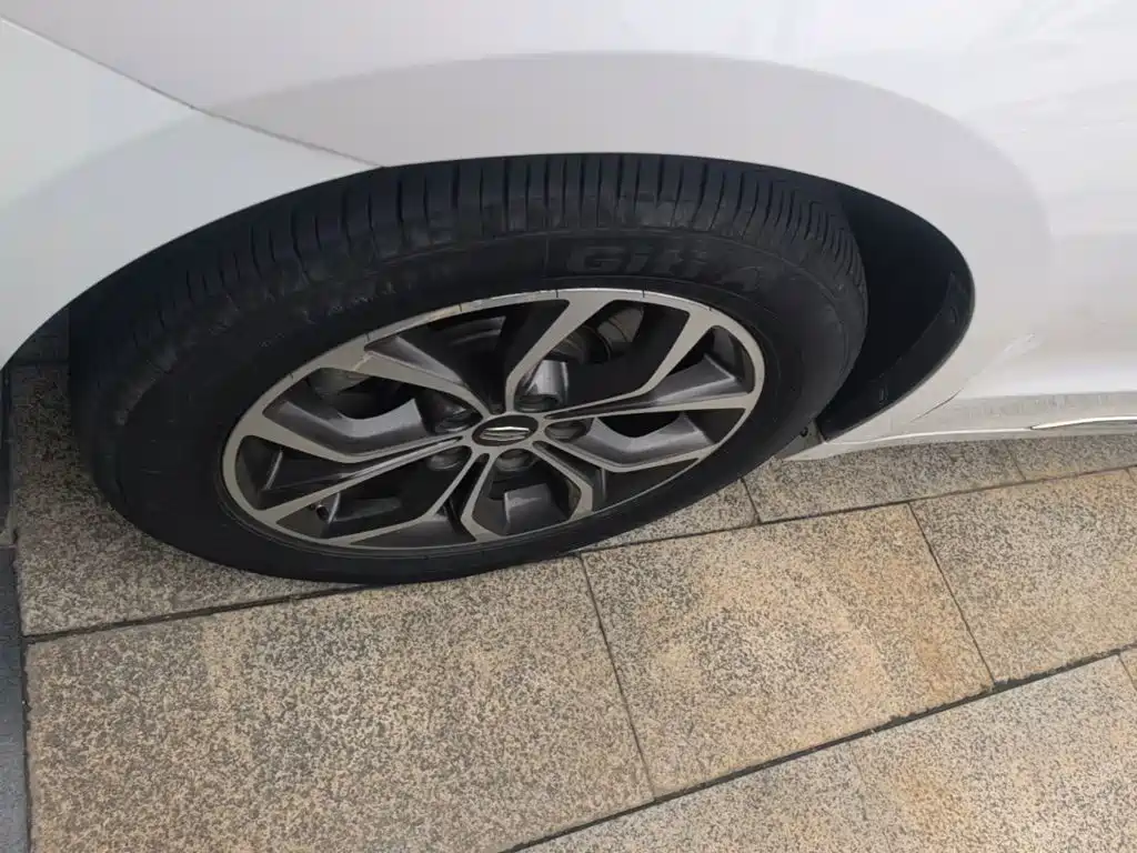 Geely Borui — фото 23