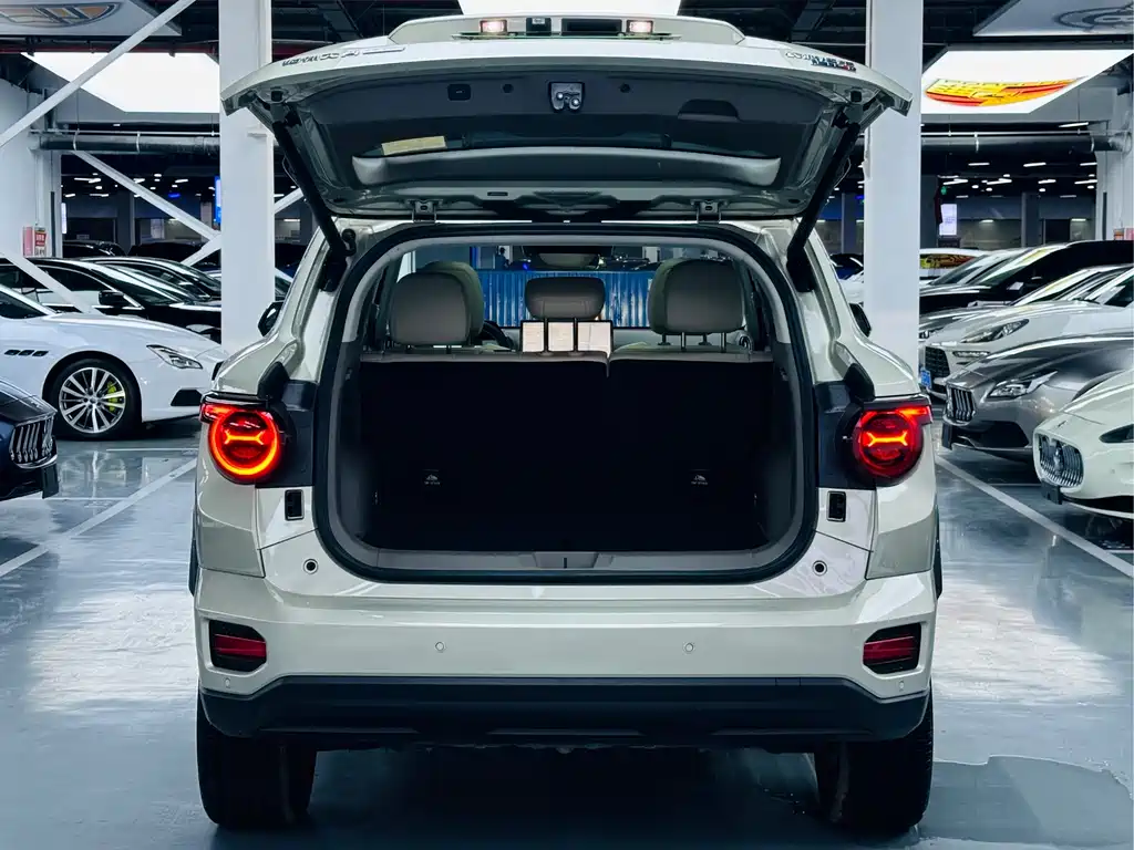 Haval Big Dog PLUS New Energy — фото 11