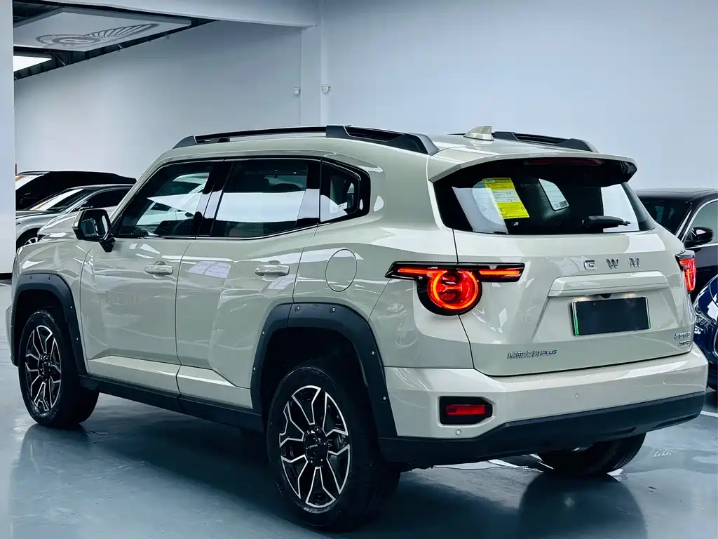 Haval Big Dog PLUS New Energy — фото 13