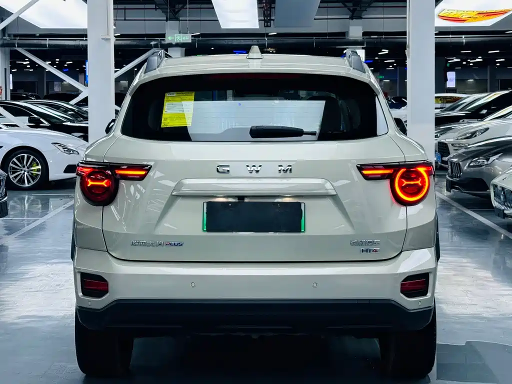 Haval Big Dog PLUS New Energy — фото 14