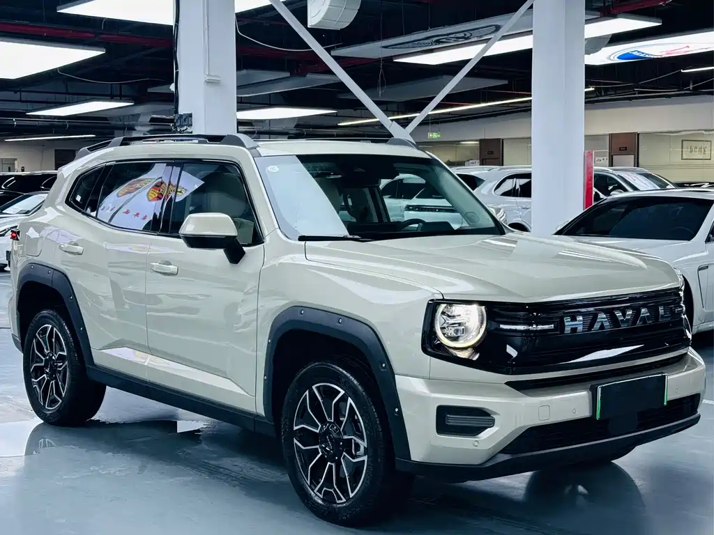 Haval Big Dog PLUS New Energy — фото 3