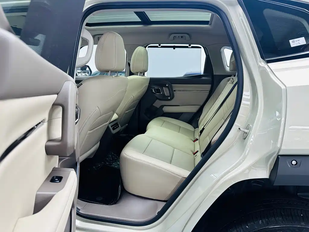 Haval Big Dog PLUS New Energy — фото 9