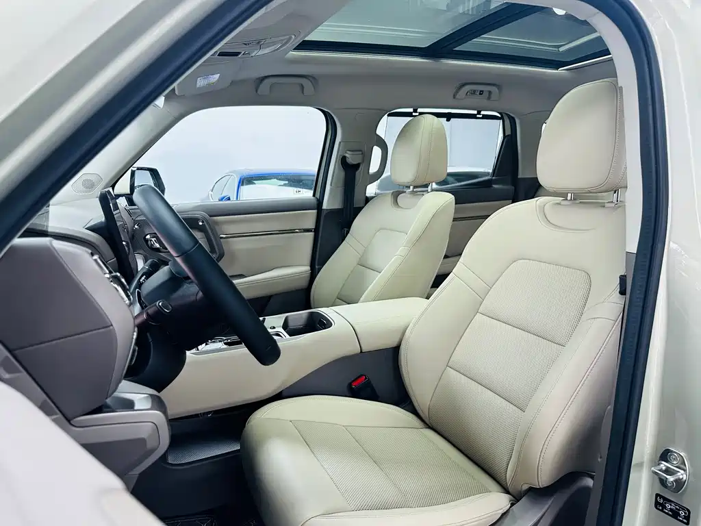 Haval Big Dog PLUS New Energy — фото 10