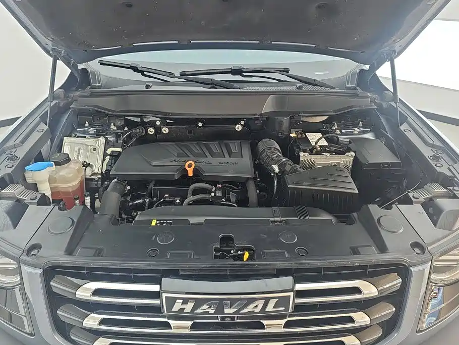 Haval Big Dog — фото 10