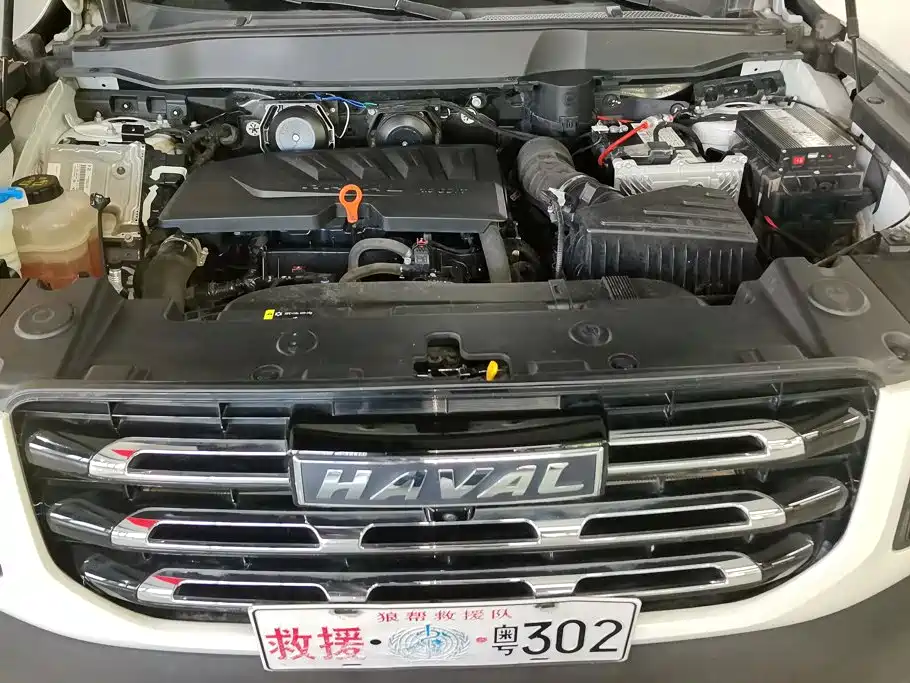 Haval Big Dog — фото 10