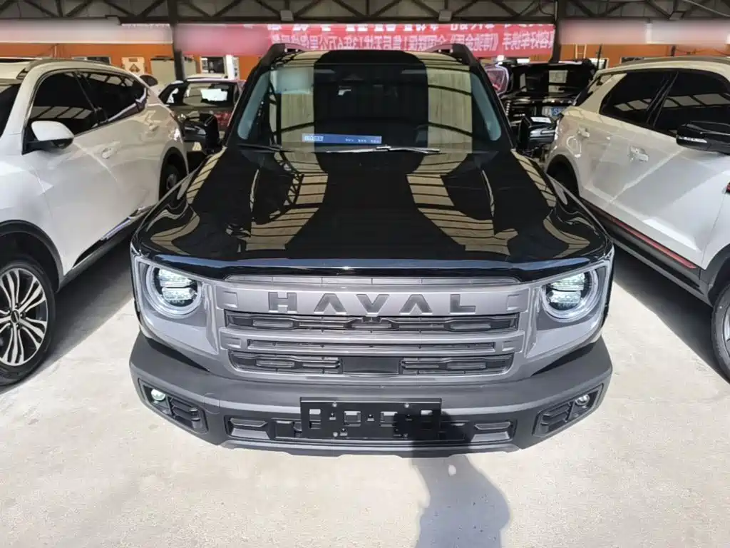 Haval Big Dog — фото 3