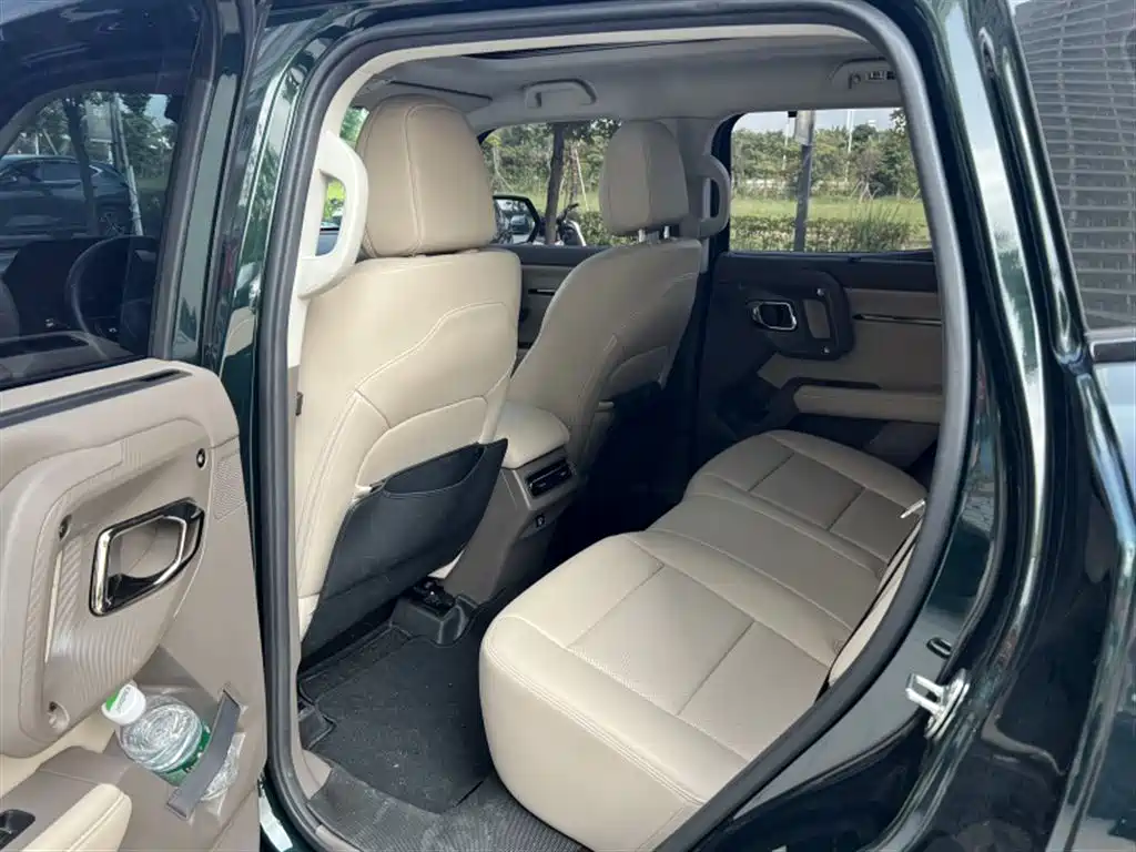 Haval Big Dog PLUS New Energy — фото 6