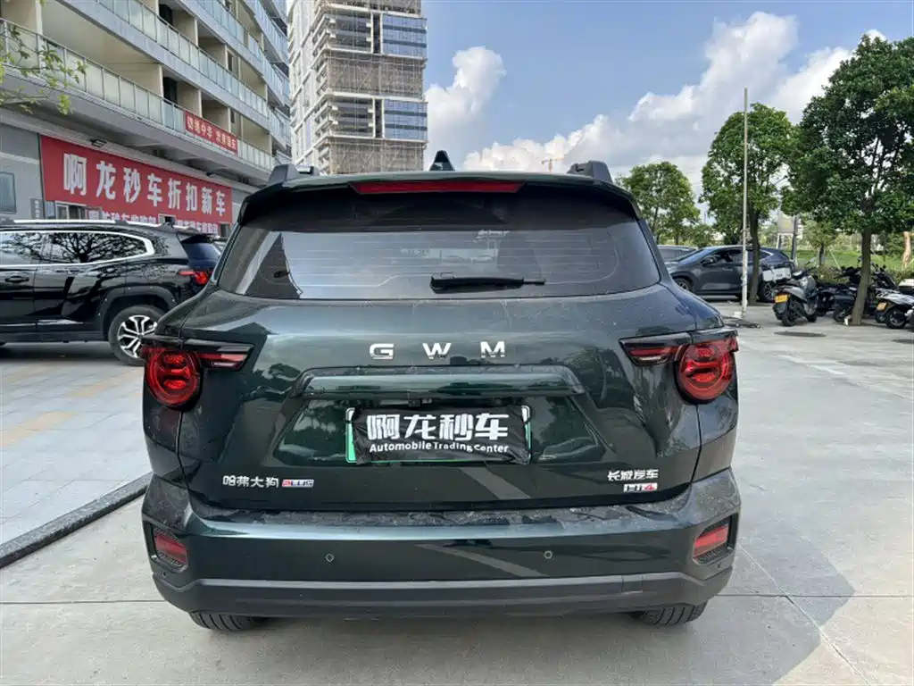 Haval Big Dog PLUS New Energy — фото 8