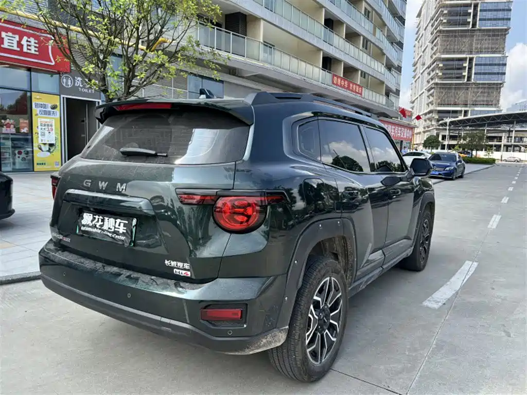 Haval Big Dog PLUS New Energy — фото 9