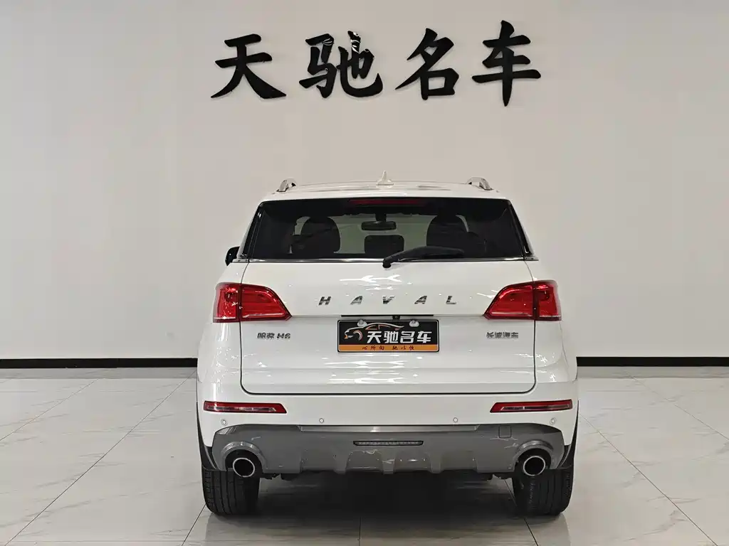 Haval H6 Coupe — фото 13