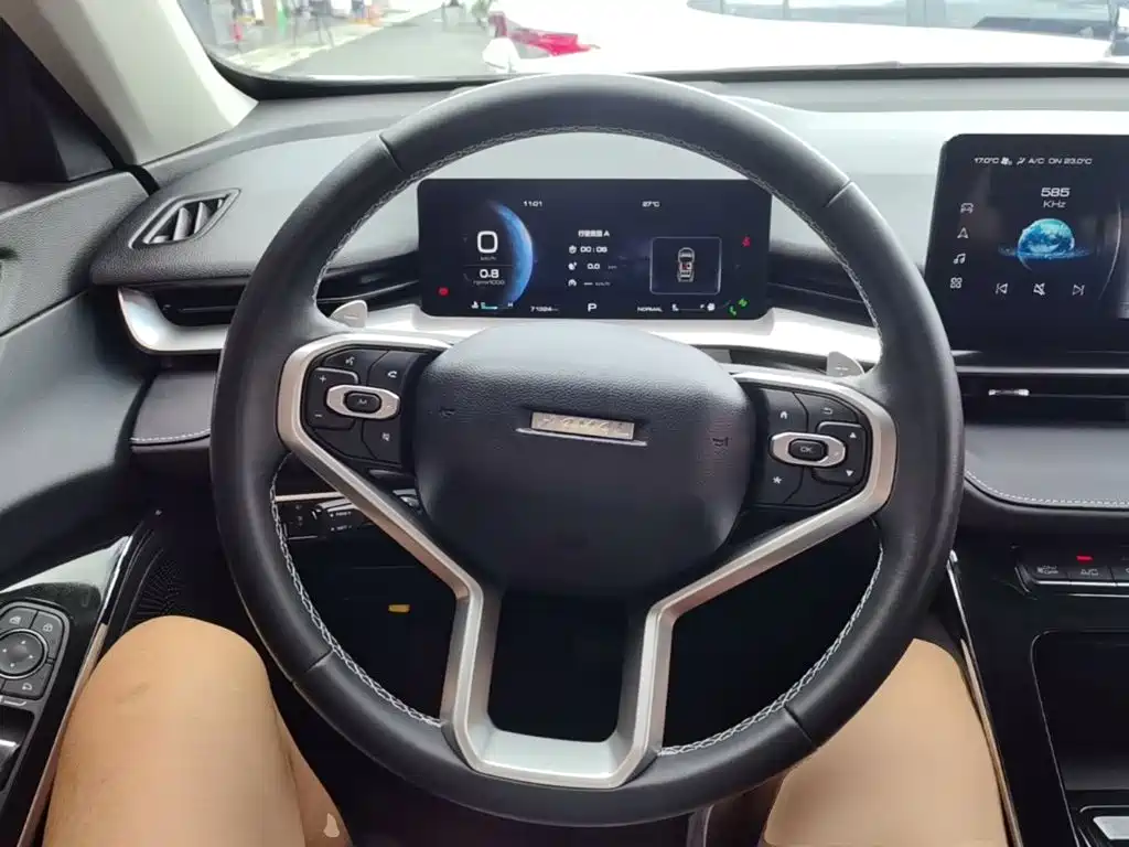 Haval H6 — фото 11