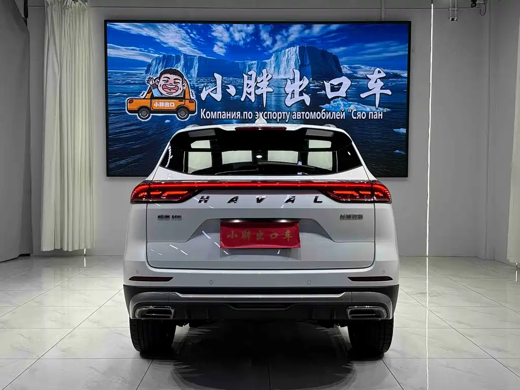 Haval H6 — фото 5