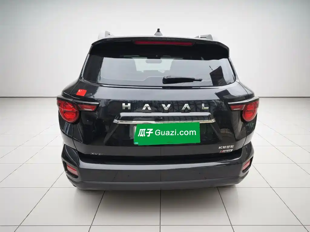 Haval Big Dog PLUS New Energy — фото 3