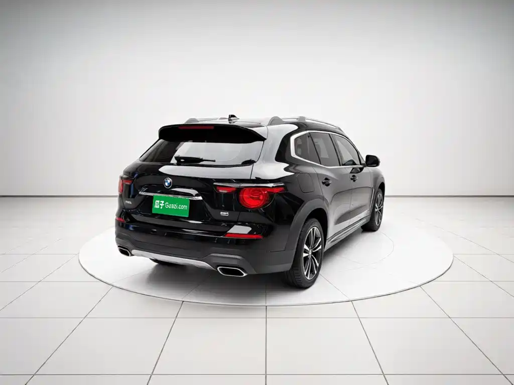 Haval Big Dog PLUS New Energy — фото 4