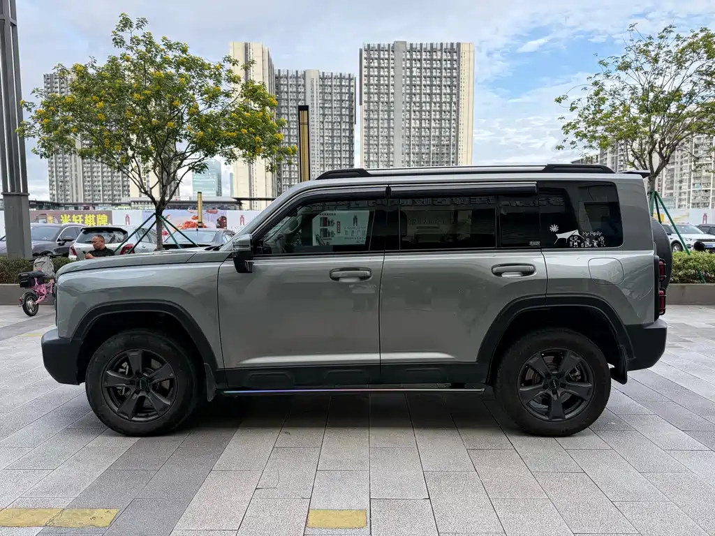 Haval Menglong New Energy — фото 3