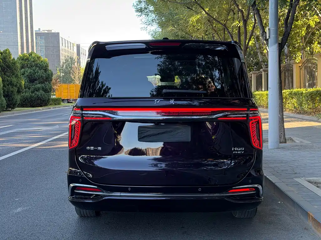Hongqi Hongqi HQ9 PHEV — фото 4